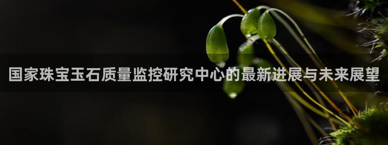 新宝5d：国家珠宝玉石质量监控研究中心的最新进展与未来展望