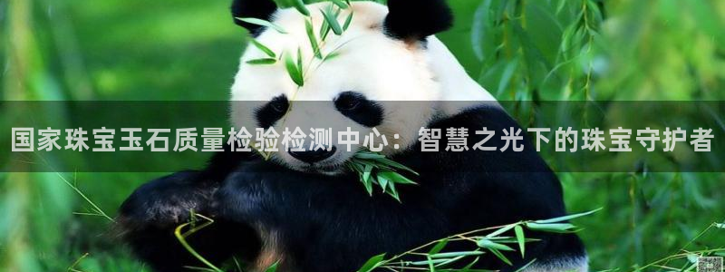 5新宝：国家珠宝玉石质量检验检测中心：智慧之光下的珠宝守护者