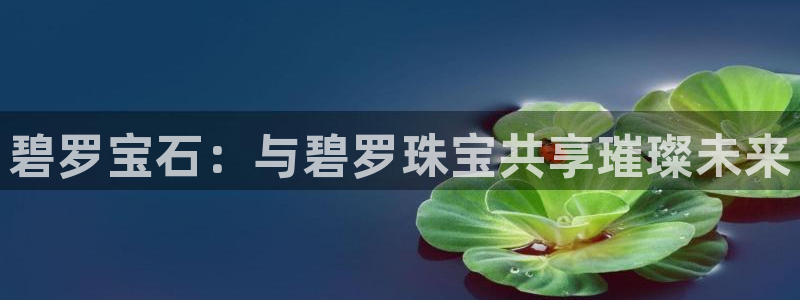 新宝5注册登录：碧罗宝石：与碧罗珠宝共享璀璨未来