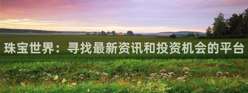 新宝5招商：珠宝世界：寻找最新资讯和投资机会的平台