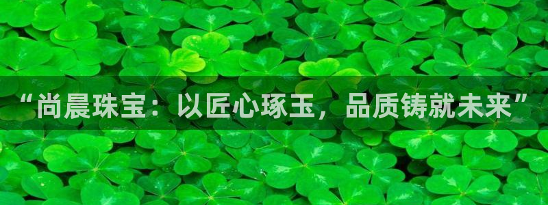 股票5G宝新：“尚晨珠宝：以匠心琢玉，品质铸就未来”