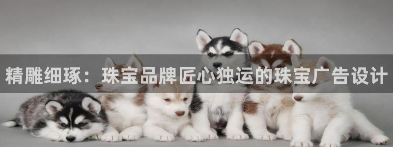 新宝5 888：精雕细琢：珠宝品牌匠心独运的珠宝广告设计