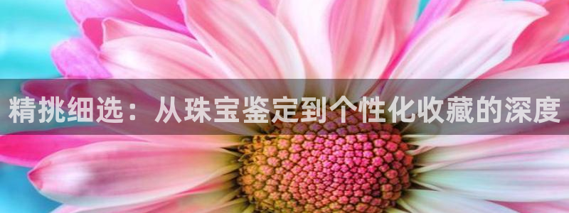 新宝5吕74OOO5：精挑细选：从珠宝鉴定到个性化收藏的深度