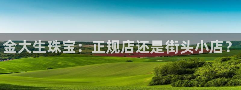 新宝5app手机下载：金大生珠宝：正规店还是街头小店？