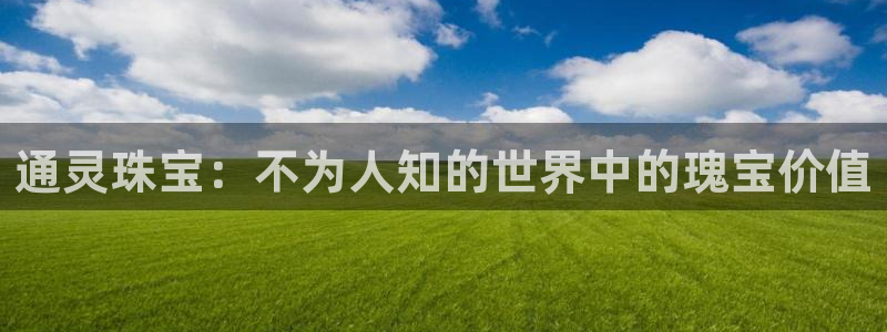 新宝5平台注册：通灵珠宝：不为人知的世界中的瑰宝价值