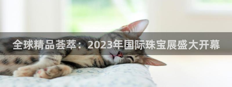 新宝5娱乐方：全球精品荟萃：2023年国际珠宝展盛大开幕