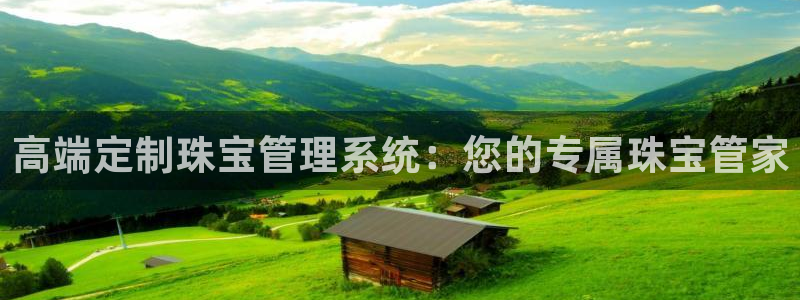 新宝5平棋牌：高端定制珠宝管理系统：您的专属珠宝管家