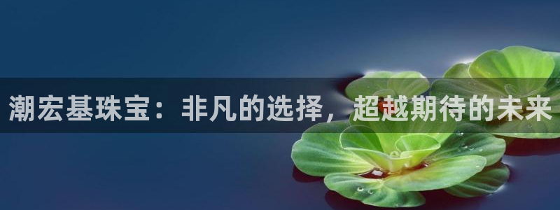 新宝5玩法：潮宏基珠宝：非凡的选择，超越期待的未来