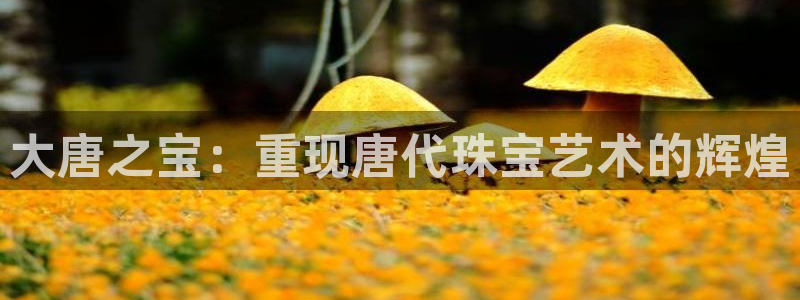 新宝5娱乐登录：大唐之宝：重现唐代珠宝艺术的辉煌