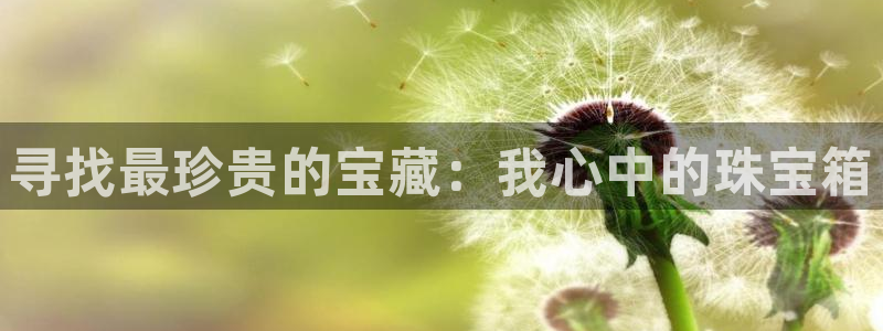 新宝5新宝6顺达：寻找最珍贵的宝藏：我心中的珠宝箱