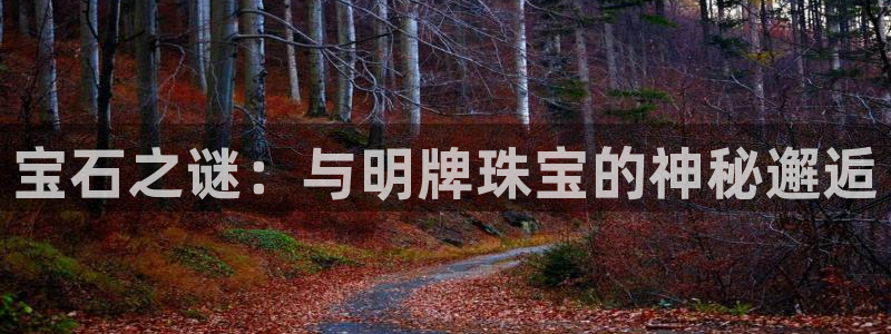 新宝5测试：宝石之谜：与明牌珠宝的神秘邂逅