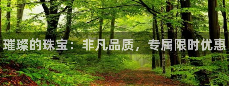 新宝5如何注册登录：璀璨的珠宝：非凡品质，专属限时优惠