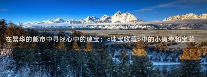 新宝5下载：在繁华的都市中寻找心中的瑰宝：<珠宝收藏>中的小确幸和宝藏。