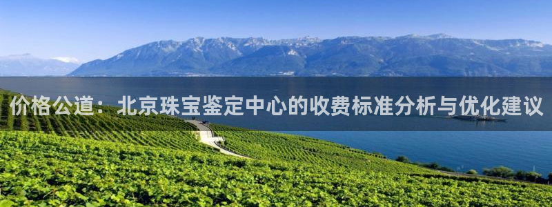 新宝5日740005蔻：价格公道：北京珠宝鉴定中心的收费标准分析与优化建议