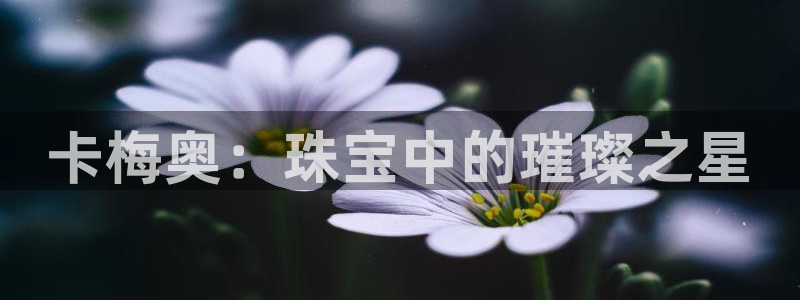 新宝5网址：卡梅奥：珠宝中的璀璨之星