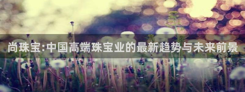 新宝5是谁的：尚珠宝:中国高端珠宝业的最新趋势与未来前景