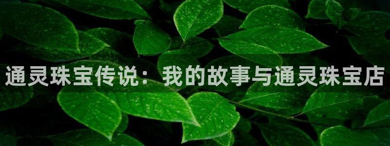 新宝5登录入口网址：通灵珠宝传说：我的故事与通灵珠宝店