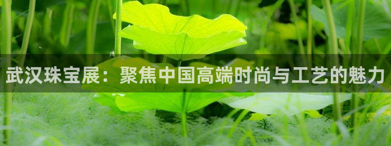 新宝5尤74OOO5：武汉珠宝展：聚焦中国高端时尚与工艺的魅力