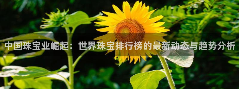 新宝5下载软件：中国珠宝业崛起：世界珠宝排行榜的最新动态与趋势分析