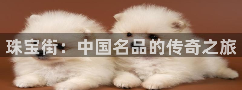 新宝5登陆地址：珠宝街：中国名品的传奇之旅