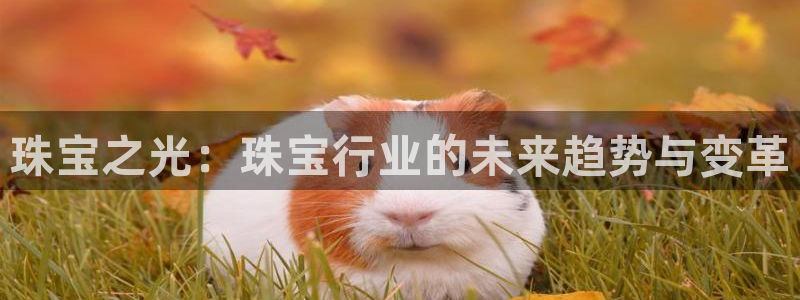 新宝堂新会陈皮5年：珠宝之光：珠宝行业的未来趋势与变革