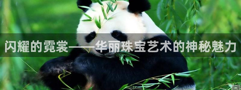 新宝h2O5O5O：闪耀的霓裳——华丽珠宝艺术的神秘魅力