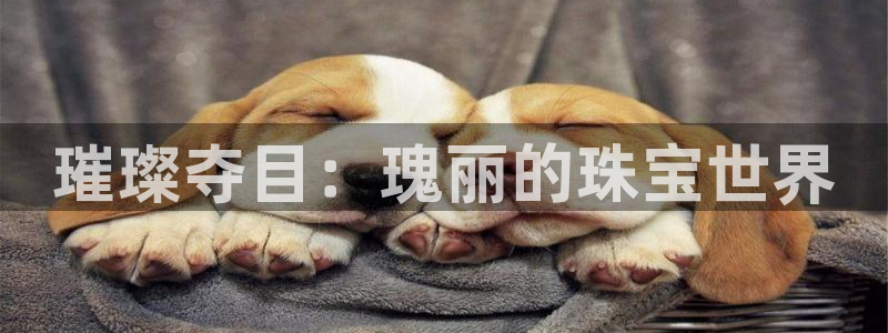 新宝5下载官方：璀璨夺目：瑰丽的珠宝世界