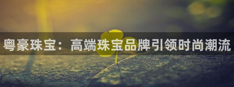 i新宝5：粤豪珠宝：高端珠宝品牌引领时尚潮流