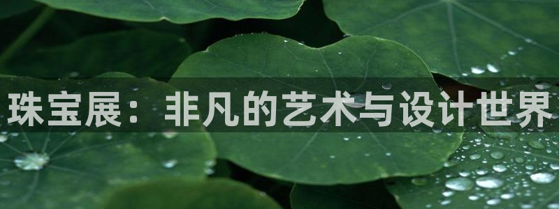 新宝5代理：珠宝展：非凡的艺术与设计世界