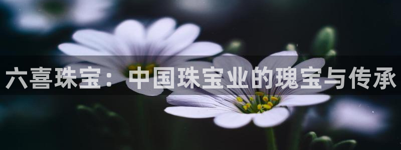 新宝xb5：六喜珠宝：中国珠宝业的瑰宝与传承