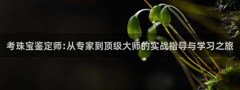 新宝5d：考珠宝鉴定师:从专家到顶级大师的实战指导与学习之旅