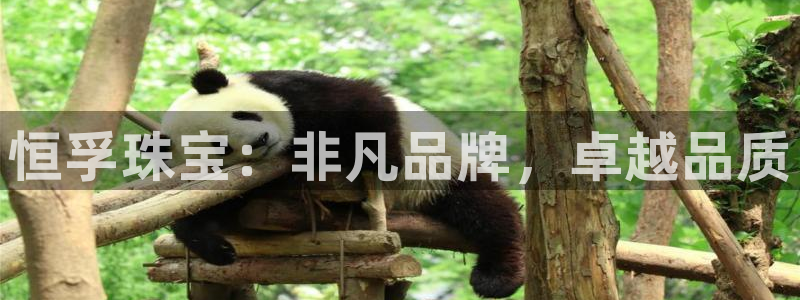 新宝5月：恒孚珠宝：非凡品牌，卓越品质