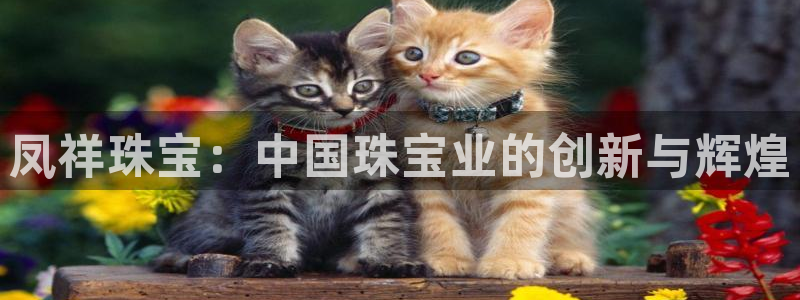 2022新宝骏rs 5：凤祥珠宝：中国珠宝业的创新与辉煌