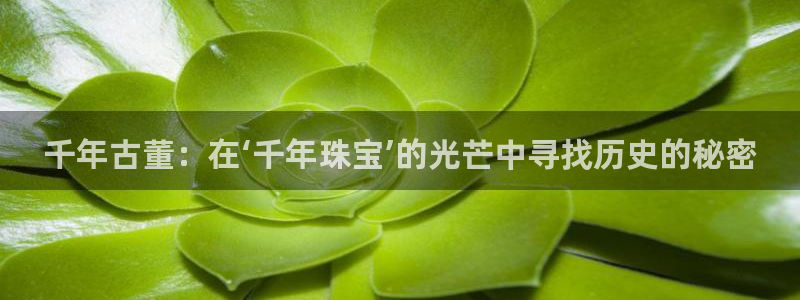 新宝6霸哥5：千年古董：在‘千年珠宝’的光芒中寻找历史的秘密
