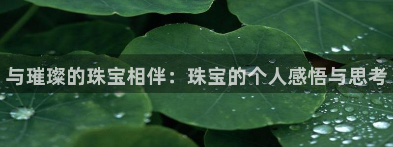 新宝5蒋74OOO5：与璀璨的珠宝相伴：珠宝的个人感悟与思考