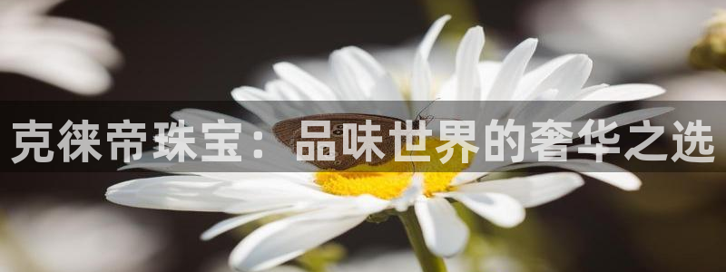 新宝5测速平台登录：克徕帝珠宝：品味世界的奢华之选