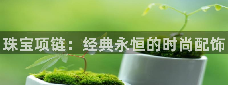 新宝5浗维33 300：珠宝项链：经典永恒的时尚配饰