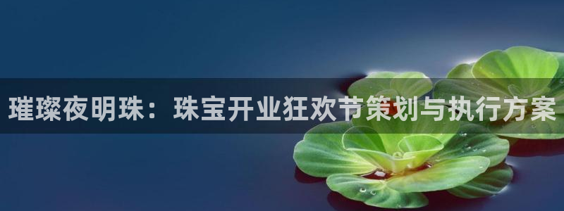 新宝5下载测试：璀璨夜明珠：珠宝开业狂欢节策划与执行方案