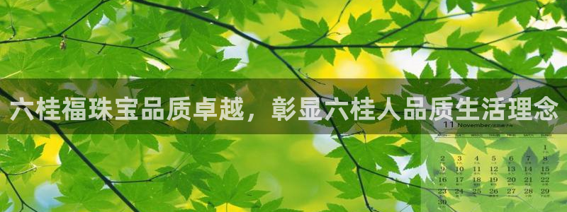 新宝股东瞧听2 5 5：六桂福珠宝品质卓越，彰显六桂人品质生活理念