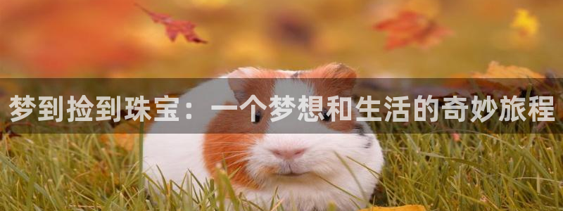 新宝5娱乐登录：梦到捡到珠宝：一个梦想和生活的奇妙旅程
