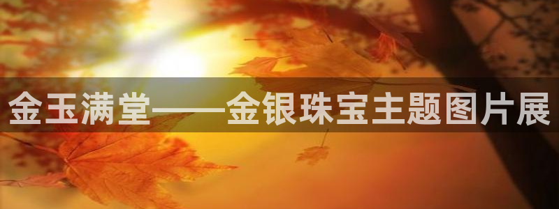 新宝rc_5w：金玉满堂——金银珠宝主题图片展