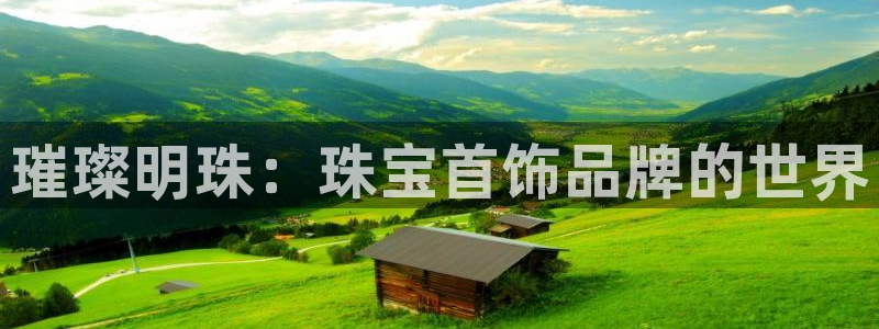 新宝_5：璀璨明珠：珠宝首饰品牌的世界