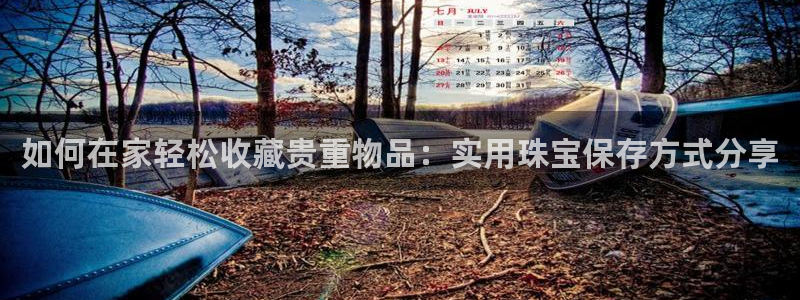 新宝5是谁的：如何在家轻松收藏贵重物品：实用珠宝保存方式分享