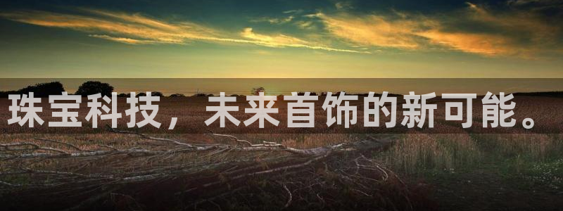 新宝5球维33 300：珠宝科技，未来首饰的新可能。