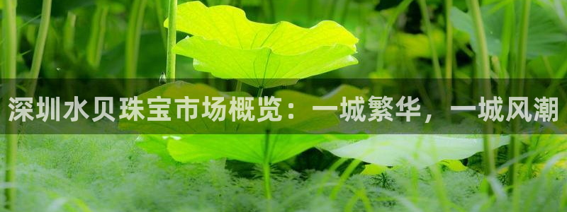 新宝5 888：深圳水贝珠宝市场概览：一城繁华，一城风潮