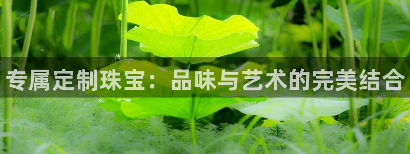 新宝5-测速：专属定制珠宝：品味与艺术的完美结合