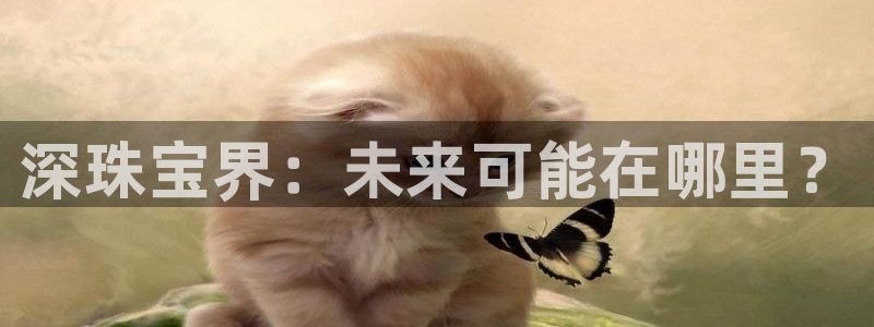 新宝5娱乐招商：深珠宝界：未来可能在哪里？