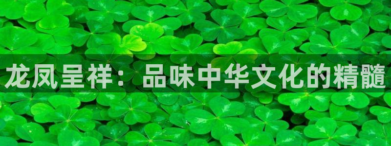 新宝5测速在线：龙凤呈祥：品味中华文化的精髓