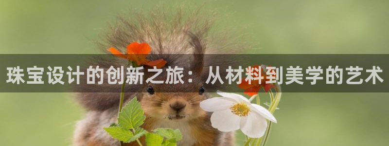新宝5内部：珠宝设计的创新之旅：从材料到美学的艺术
