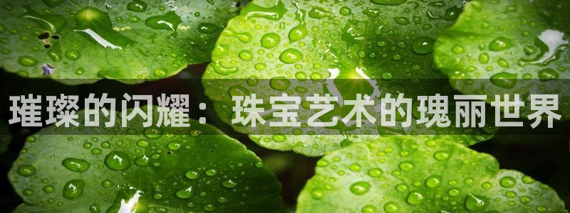 新宝5测速下载：璀璨的闪耀：珠宝艺术的瑰丽世界